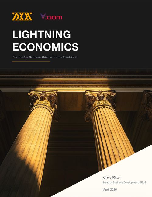 Lightning Economics report cover